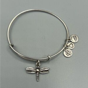 Alex and Ani Dragon Fly Expandable Wire Bracelet